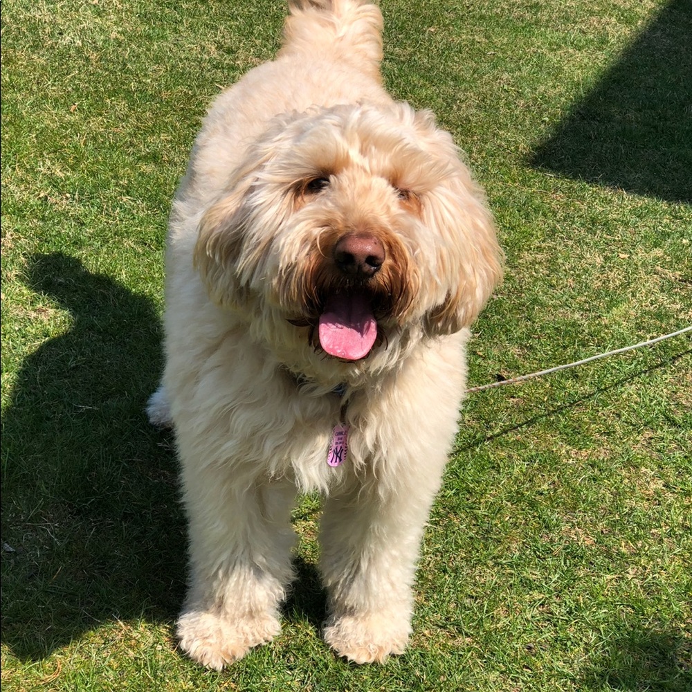 Meet your Posher, Alyssa